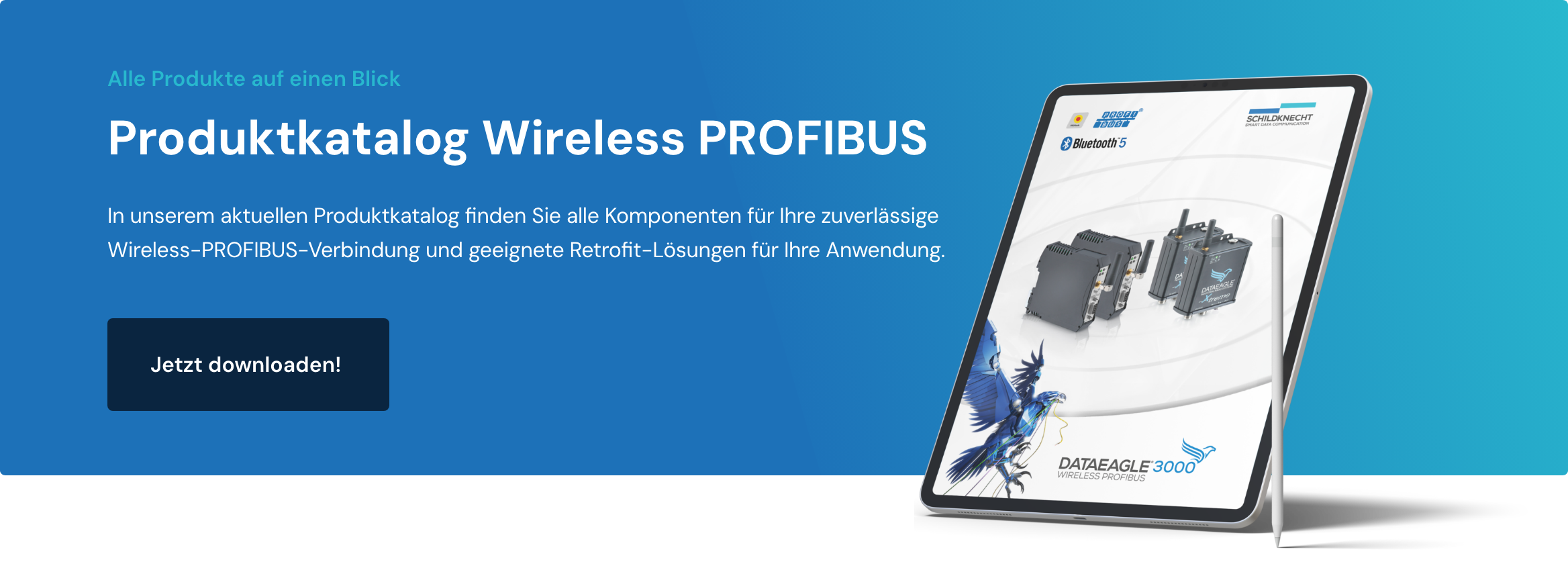 bild-cta-content-offer-katalog-platzhalter